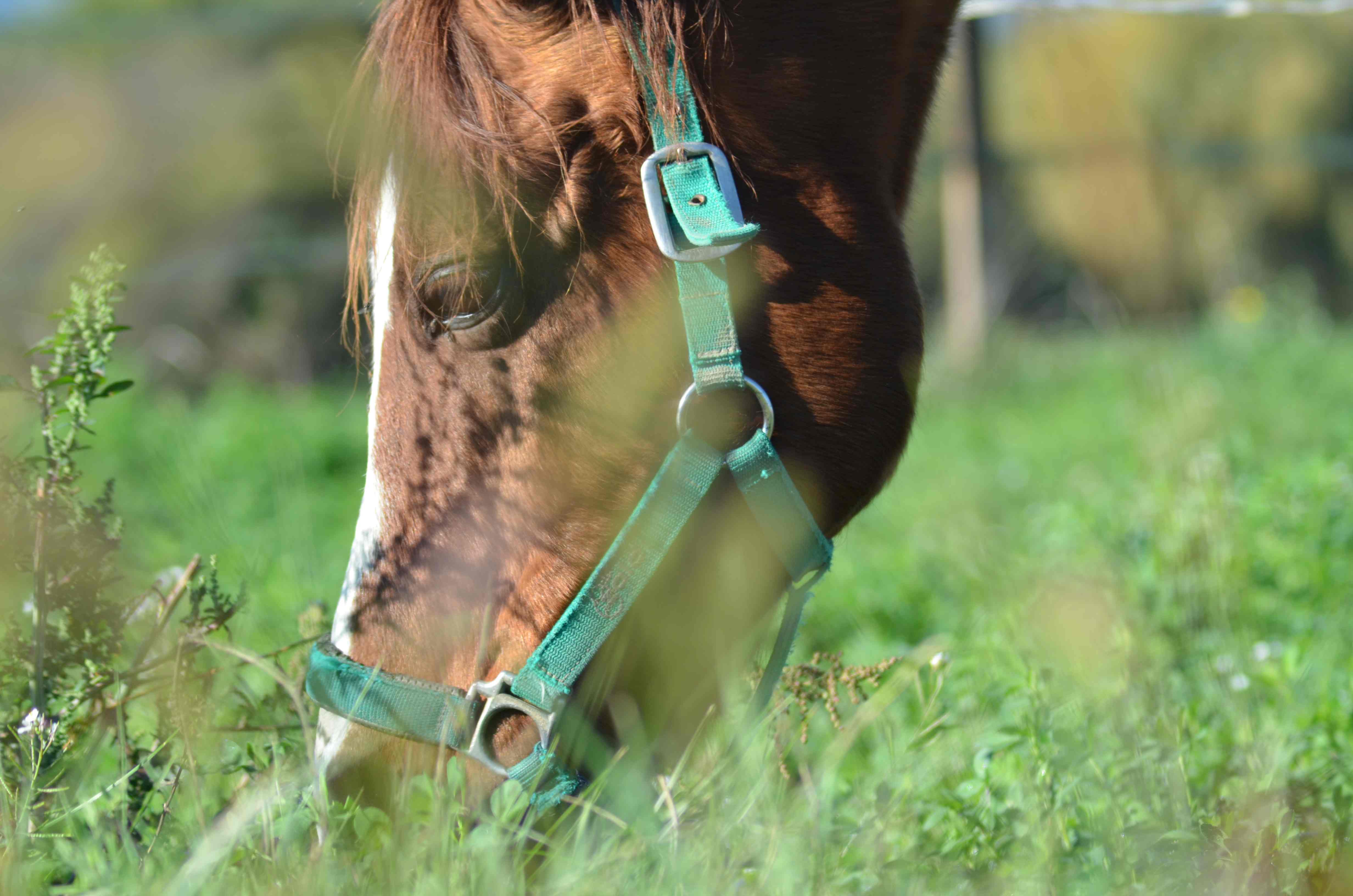 No s'ha trobat l'arxiu